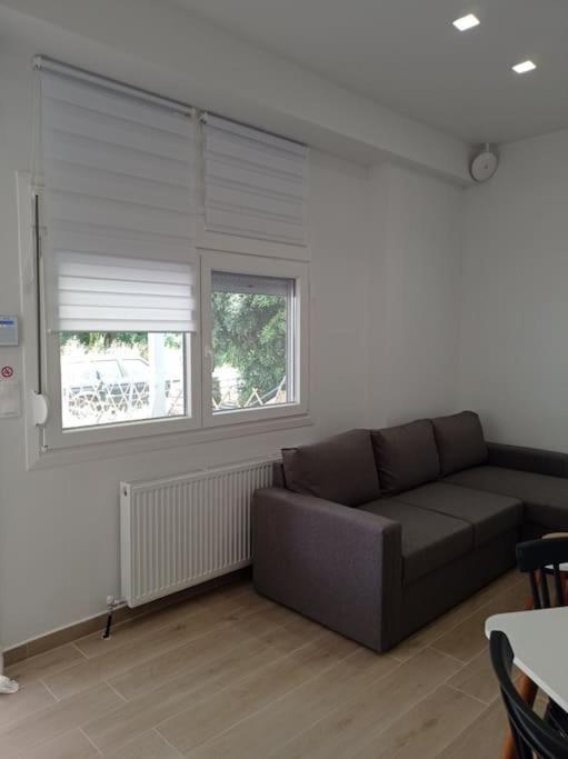 Partcon Apartment A Neoi Epivatai Bagian luar foto